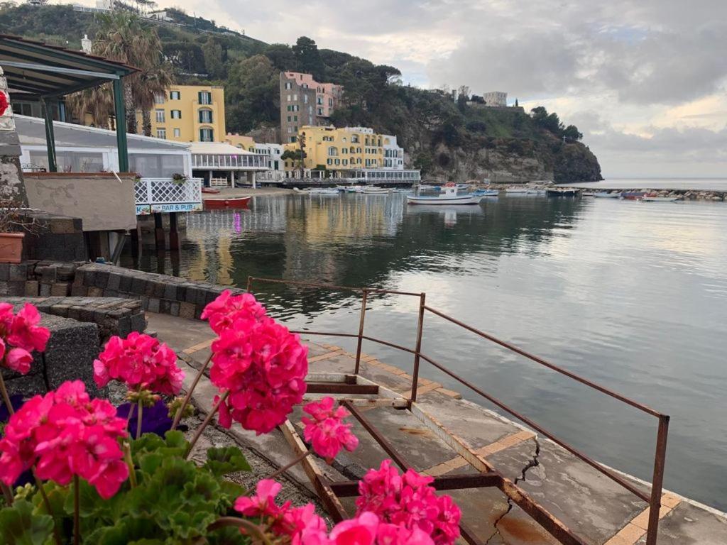 Lodge dell'Ospite Casamicciola Terme Eksteriør bilde